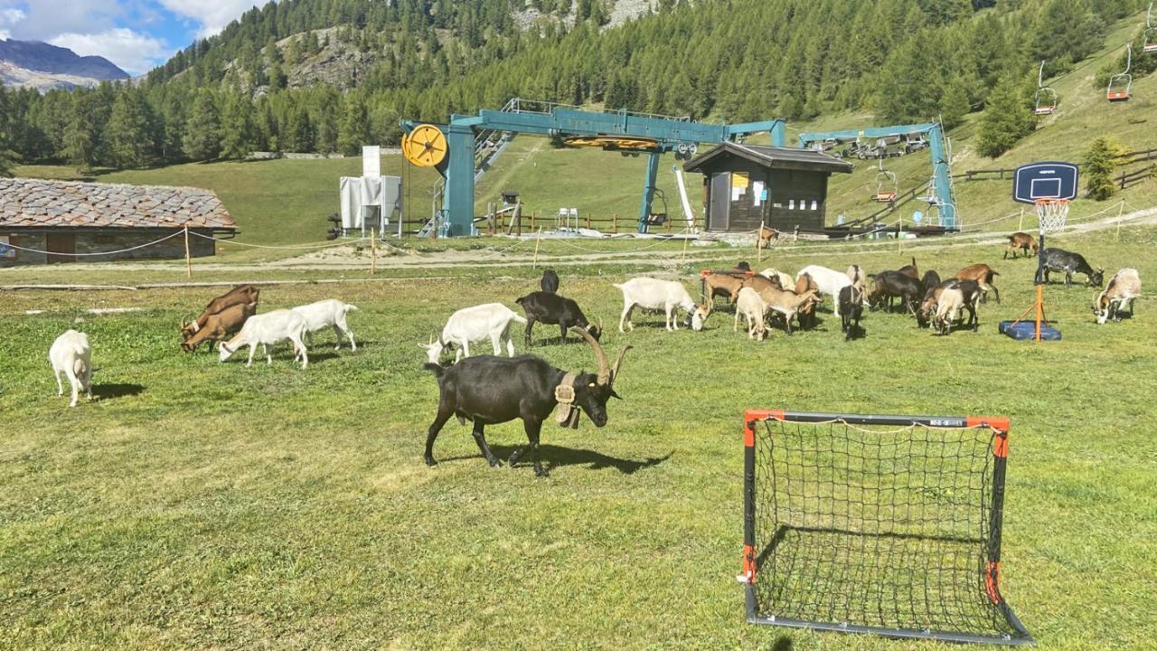 Locanda Ristorante Bar Del Lago Chamois Extérieur photo